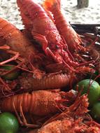 Boiled delicious lobster