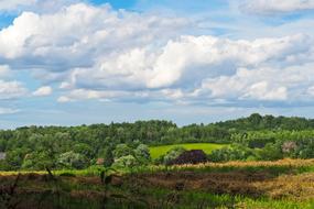 Landscape Field Nature