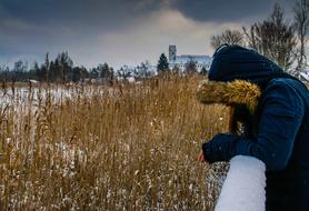 Spring Lake Bad Buchau