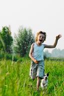 Child Dog Together green grass