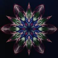 mandala flower nature color flora