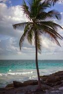 Beach Sea Light