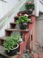 Flowers Stairs Summer