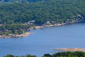 Mountain View Lake Bird