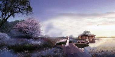 The Boardwalk Countryside