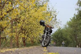 Leafs Flowers Patiala