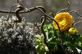 Flower Arrangement Branch