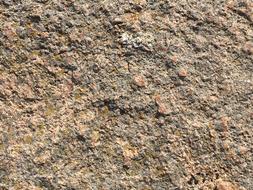 Sand Grain Rough texture