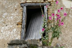 Door Entrance Expired