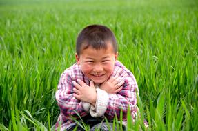 asian child in a green wheat field