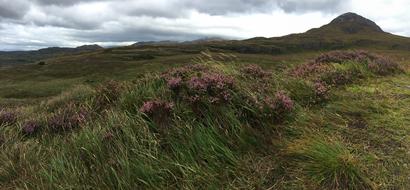 Ireland Nature Panorama view