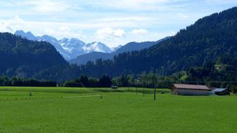 Allgäu Mountain Panorama Meadow