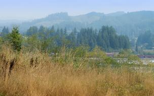Rural Oregon Coast scenery
