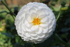 Augarten Vienna Park