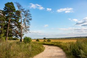 Twist Rural Road