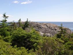 Mohegan Island Maine