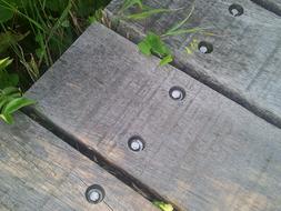 Wooden Planks