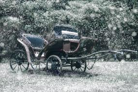 black and white photo of a carriage near trees