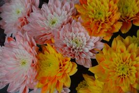 Orange and pink flowers bouquet offer