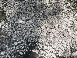 White Black floor Background