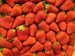 sweet strawberry background