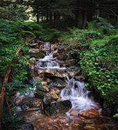 Stream Tatry Water