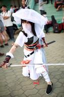 Ninja Hero Samurai person