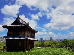 Sky Blue Travel
