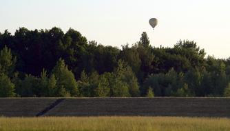 Forest Shafts Balloon