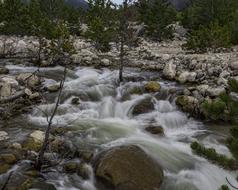 river waterfall in the forest