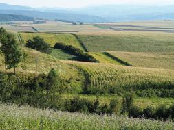 Landscape Hilly Fields