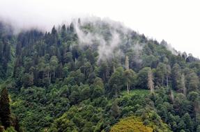Eastern Black Sea Rize Ayder