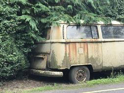 Vw Bus Bulli