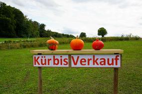 pumpkins on the sign