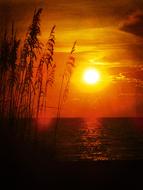 Sunset Evening Ocean