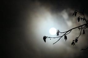 Fullmoon Make Cloud
