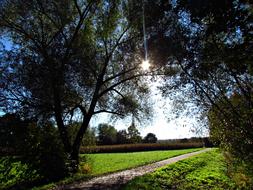 The Sun Glimmer at nature Landscape