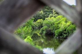 shot of the green landscape