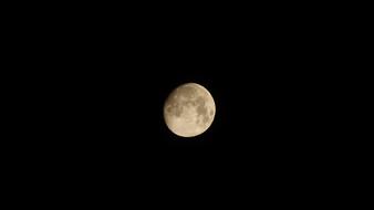 Night Moon