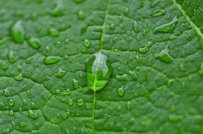raindrops on a piece of background paper