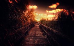 the road against the orange sky