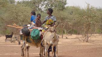 Transportation Exodus Family