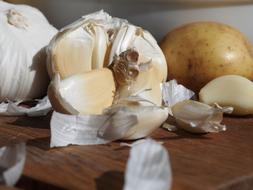 ripe garlic cloves