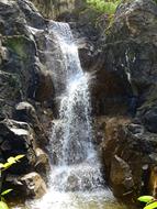 scenery of Waterfall Nature