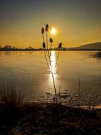 Gravel Pond Water