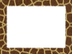 skin giraffe geometry frame