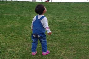 photo of a boy in denim overalls on a meadow