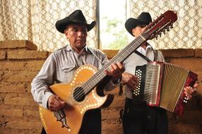 Guitar Musicians in hat