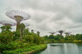Singapore Nature Park