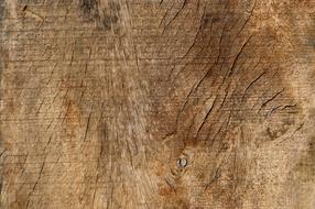 Wood Texture